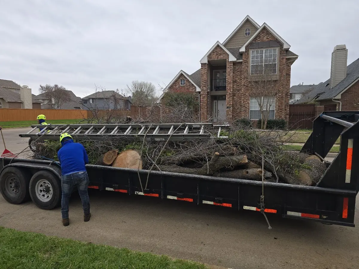 Expert Crown Reduction with proper safety equipment in Blaine